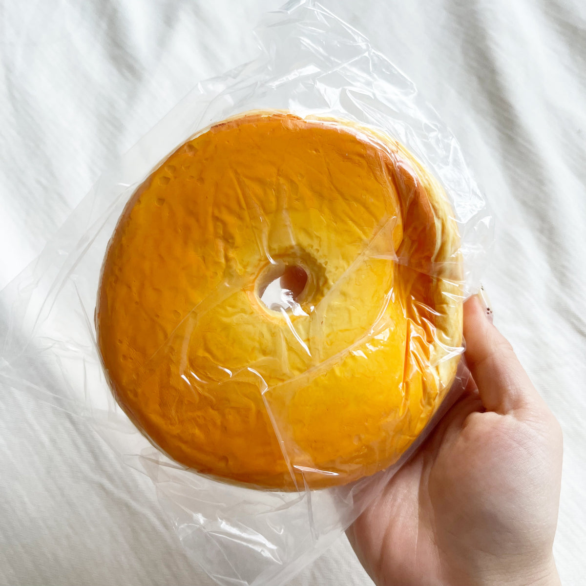 hachimi bagel squishy