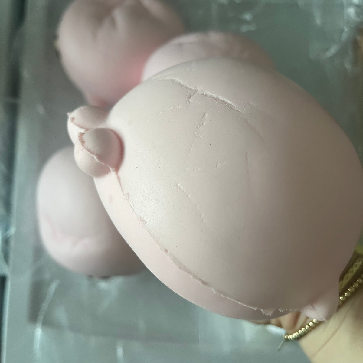limited hachimi seal squishy