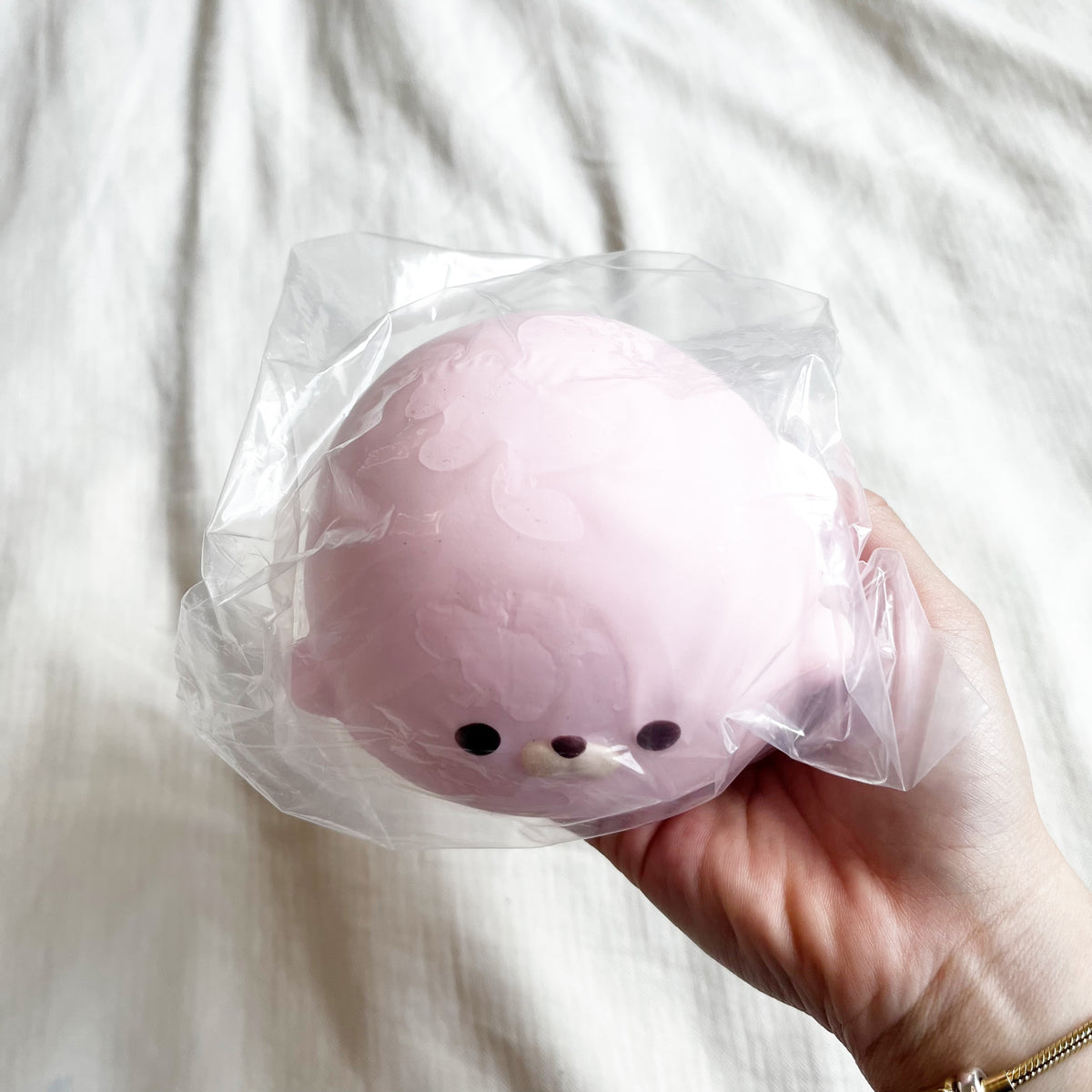 limited hachimi seal squishy